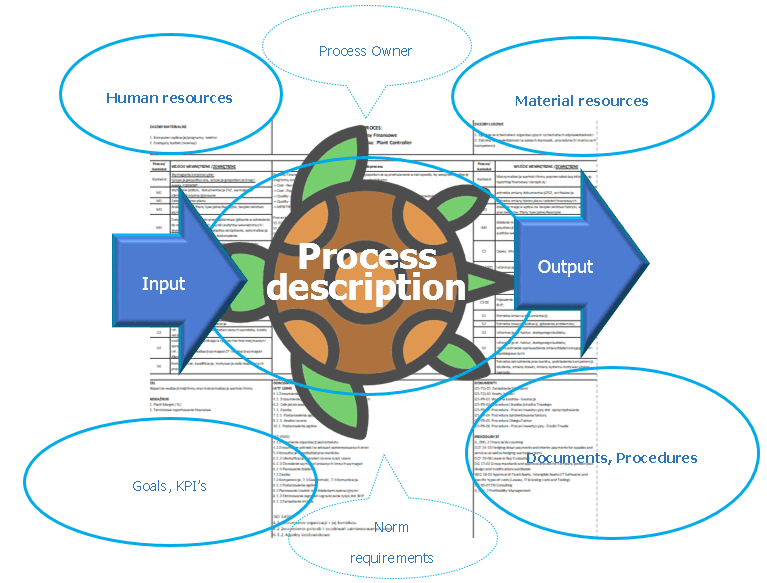 Turtle Diagram vs. Process Card