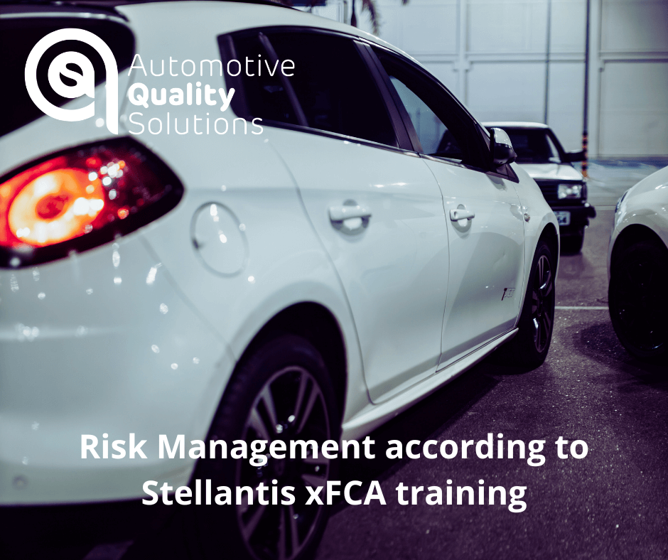 Risk Management Stellantis training