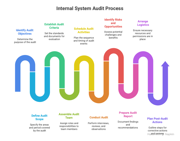 Internal System Audit Process